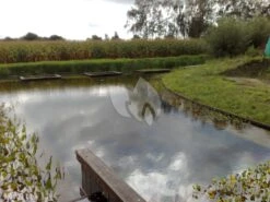 EPDM Vijverfolie 6.68 Meter Breed (1mm) 6 EPDM Vijverfolie 6.68 Meter Breed (1mm) -Vijverbenodigdheden 10092007011 0 2592x1944