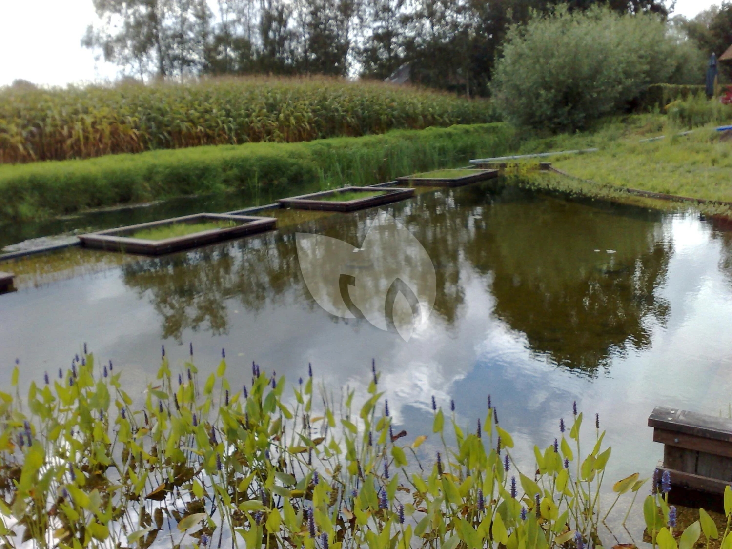 EPDM Vijverfolie 10 Meter Breed (1mm) 3 EPDM Vijverfolie 10 Meter Breed (1mm) - Afbeelding 3