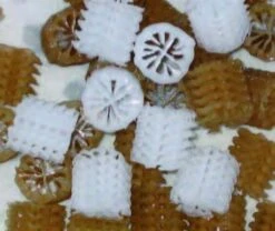 Biocarrier Type Helix