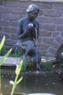 OASE Aquarius Universal Classic 1500 Fonteinpomp -Vijverbenodigdheden aquarius universal classic sfeerfoto 0 621x938 5