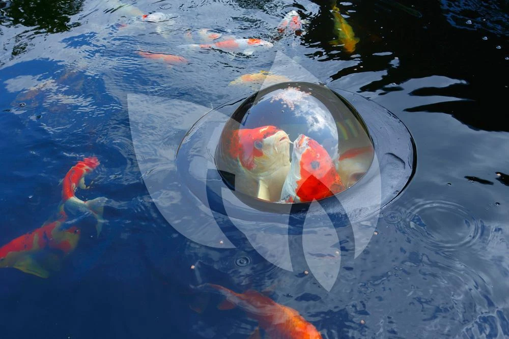 Velda Floating Fish Dome Klein 2 Velda Floating Fish Dome Klein - Afbeelding 2