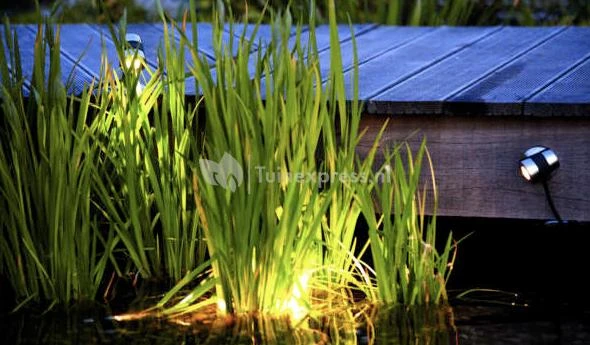 OASE LunAqua Maxi LED Solo Vijververlichting (uitbreiding) 3 OASE LunAqua Maxi LED Solo Vijververlichting (uitbreiding) - Afbeelding 3