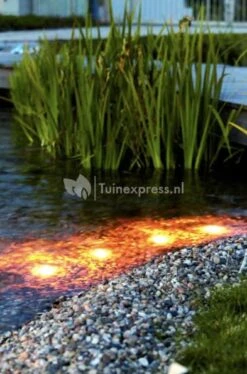 OASE LunAqua Maxi LED Set 3 Vijververlichting 8 OASE LunAqua Maxi LED Set 3 Vijververlichting -Vijverbenodigdheden lunaqua maxi led set3 en solo 0 393x595