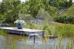 OASE Aquarius Fountain Set Eco 5500 Fonteinpomp -Vijverbenodigdheden oase aquarius fountain set eco 5500 41923 1 0 1000x666 2