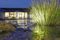 OASE LunAqua 3 LED Set 1 Vijververlichting -Vijverbenodigdheden oase lunaqua 3 led set 1 vijververlichting 57034 3 0 1000x667