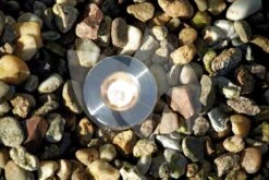 OASE LunAqua Maxi LED Set 3 Vijververlichting 10 OASE LunAqua Maxi LED Set 3 Vijververlichting -Vijverbenodigdheden oase lunaqua maxi set1 vijververlichting 50507 3 0 1000x667