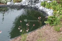 OASE Pondedge Set Van 10 Grondpennen XL -Vijverbenodigdheden oase pondedge grondpen 10 stuks 40296 4 0 829x555