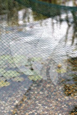 Oase Vijvernet 6 X 10 Meter -Vijverbenodigdheden oase vijver afdeknet 3 x 4 m 53751 3 0 667x1000