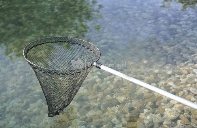 OASE Professioneel Grofmazig Vijver-schepnet Rond 2 OASE Professioneel Grofmazig Vijver-schepnet Rond - Afbeelding 2
