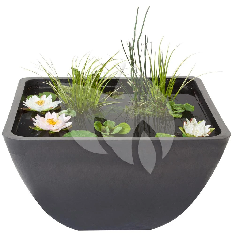 Velda Terrasvijver Fountain Pond Vierkant Klein 1 Velda Terrasvijver Fountain Pond Vierkant Klein