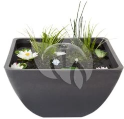 Velda Terrasvijver Fountain Pond Vierkant Klein 8 Velda Terrasvijver Fountain Pond Vierkant Klein -Vijverbenodigdheden terrasvijver vierkant 55cm 123515 3 0 1000x961