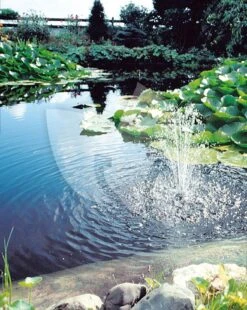 Ubbink Biopressure II 18000 Drukfilter -Vijverbenodigdheden ubbink biopressure ii 6000 drukfilter 2 0 796x1000 1