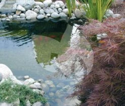 Ubbink BioPure 2000 Basic-Set Onderwaterfilter -Vijverbenodigdheden ubbink biopure 2000 basic set onderwaterfilter 2 0 1000x852