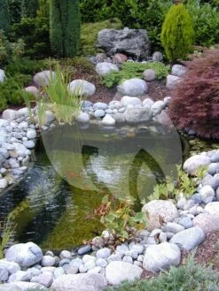 Ubbink FiltraPure 7000 Vijverfilter -Vijverbenodigdheden ubbink filtrapure 4000 vijverfilter 2 0 750x1000 1