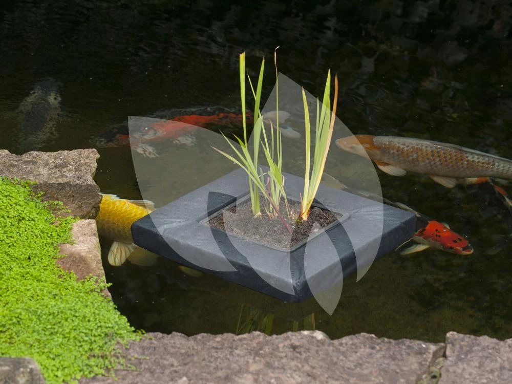 Ubbink SwimPlant Drijvende Plantentas Vierkant 20 X 20 Cm 2 Ubbink SwimPlant Drijvende Plantentas Vierkant 20 X 20 Cm - Afbeelding 2