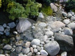 Ubbink Xtra Fi Filterpomp Serie 9 Ubbink Xtra Fi Filterpomp Serie -Vijverbenodigdheden ubbink xtra fi filterpomp 8711465519557 4 0 1000x750